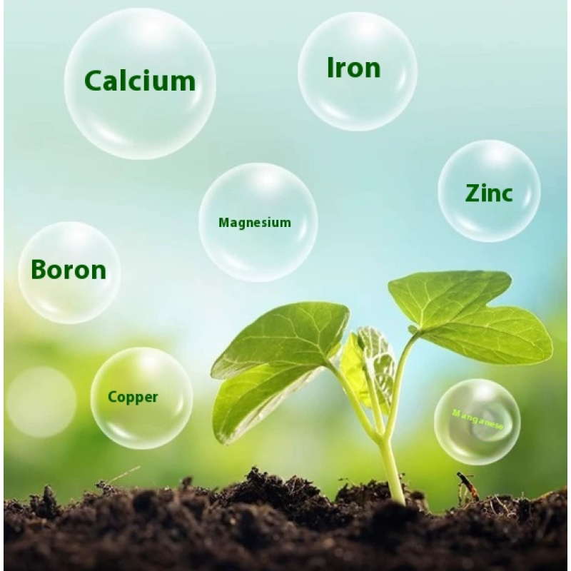 Water-Soluble Fertilizer Factory - Lignic Acid Micronutrient