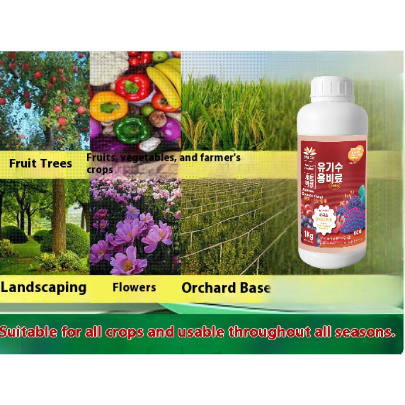 Vegetable Fertilizer Factory - Chili Bean Eggplant Expanding