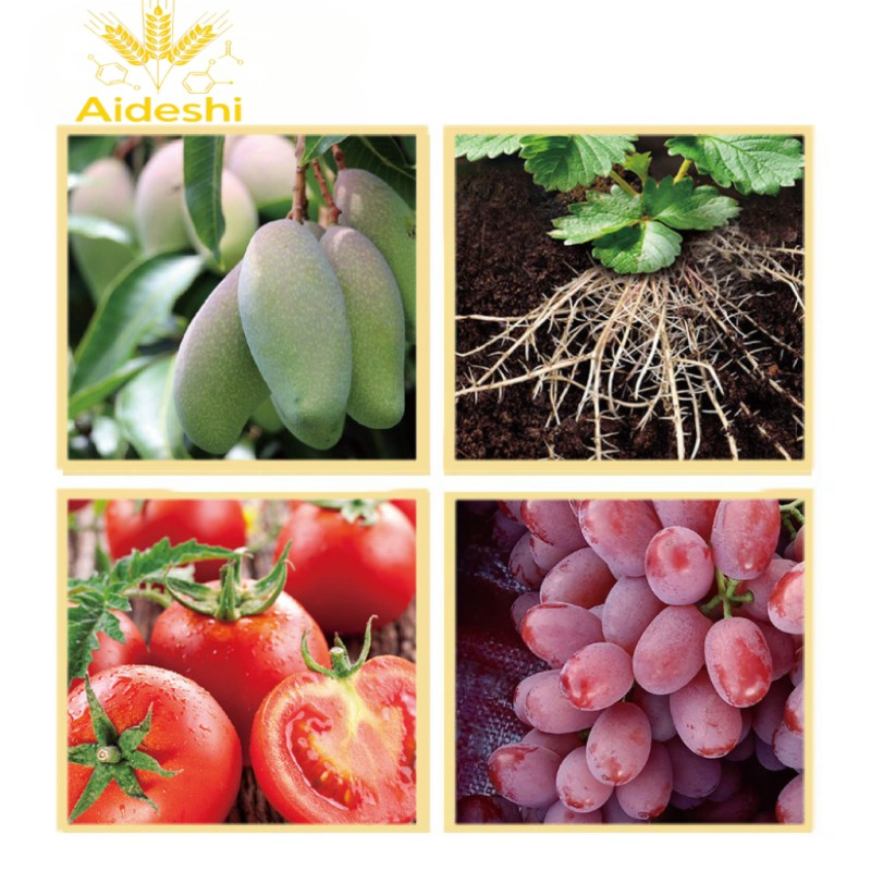 Rooting Agent Manufacturer - Microbial Seaweed Aqueous