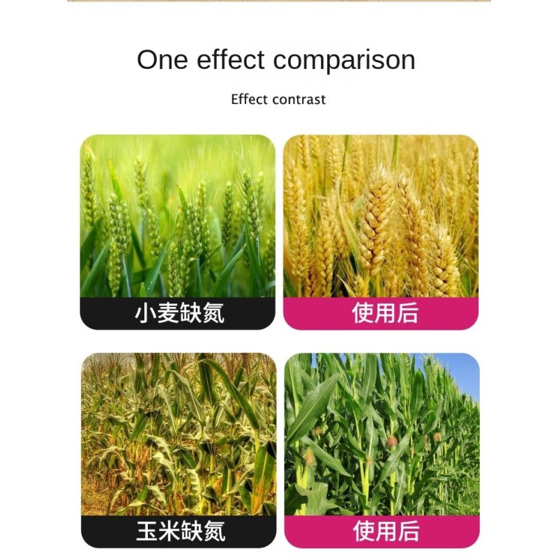 Organic Fertilizer Factory - Corn Grain Specialized