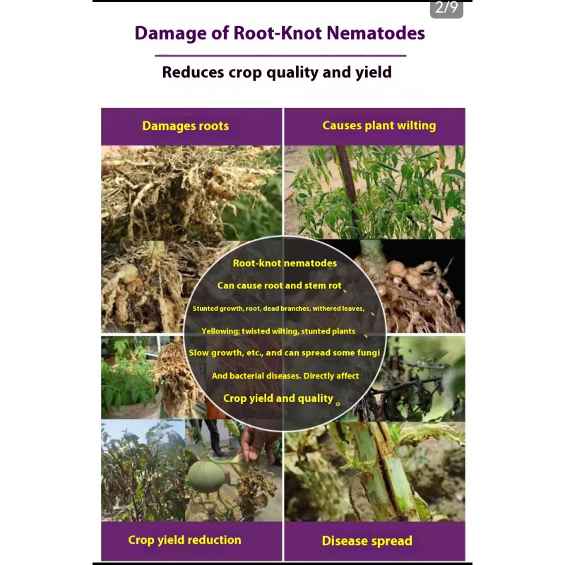 Organic Fertilizer Factory - Wood Acid Compost Powder