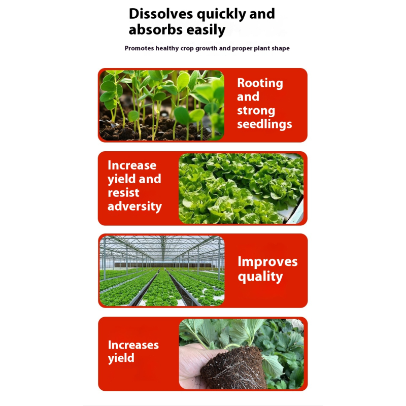 Rooting Agent Manufacturer - Suspension-Type Organic