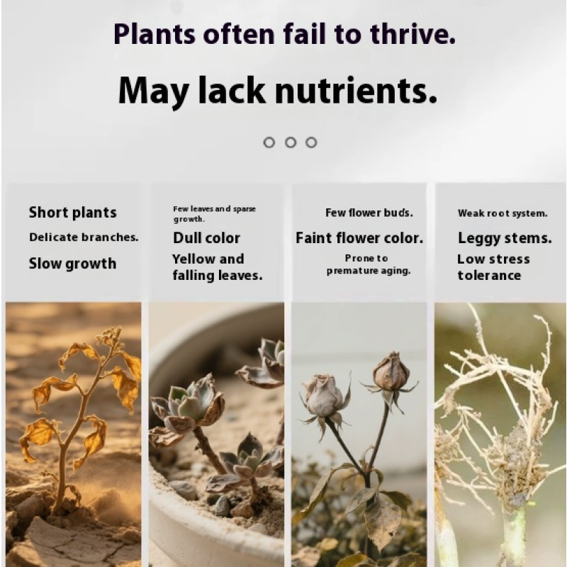 Shrimp Fertilizer Manufacturer - Peptide Plasma Protein