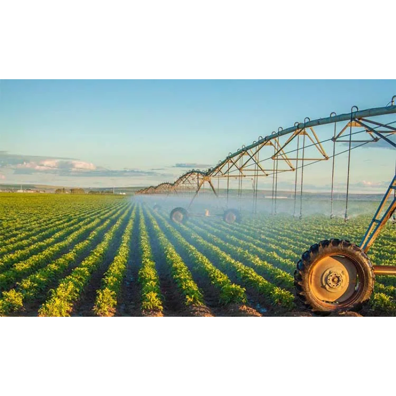 Granular Fertilizer Factory - High Nitrogen Organic Fruit Trees