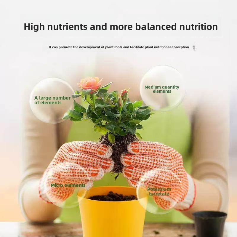 Seaweed Fertilizer Factory - Alginic Acid Chlorophyll Spray