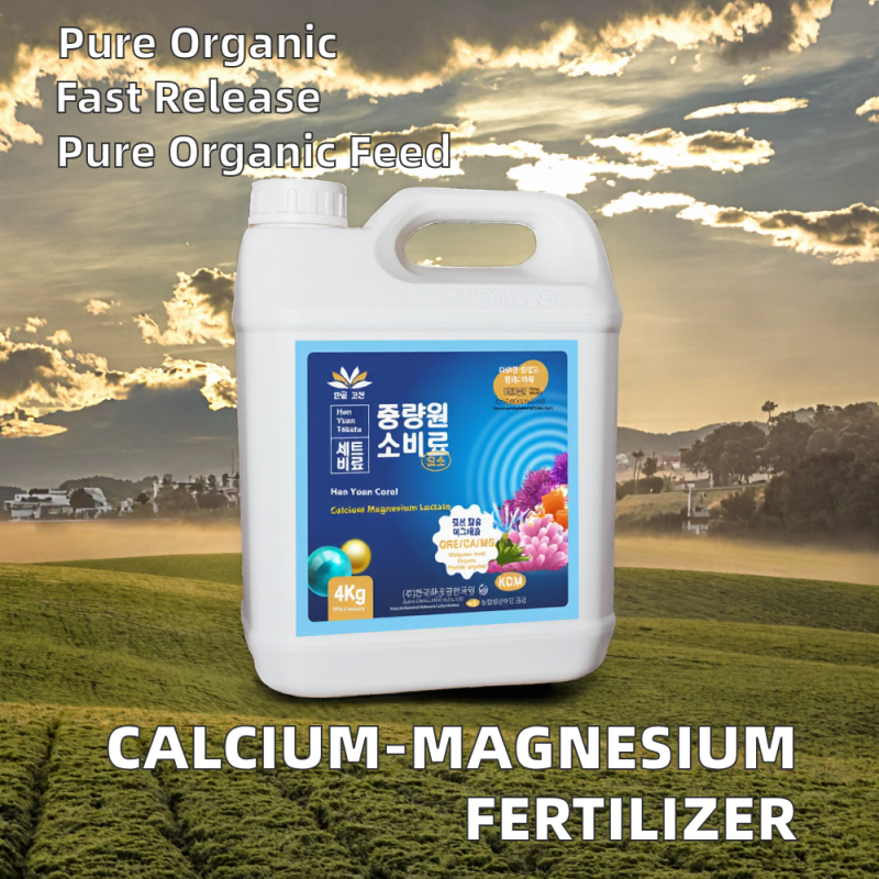 Boric Fertilizer Manufacturer - Fluid Foliar Flower Fruit