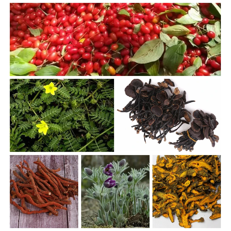 Organic Fertilizer Manufacturer - Supercharged Nitrogen Granular