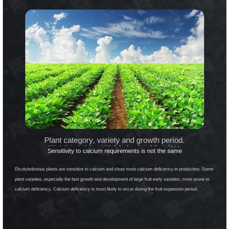 Water-Soluble Fertilizer Supplier - Premium Flower Growth