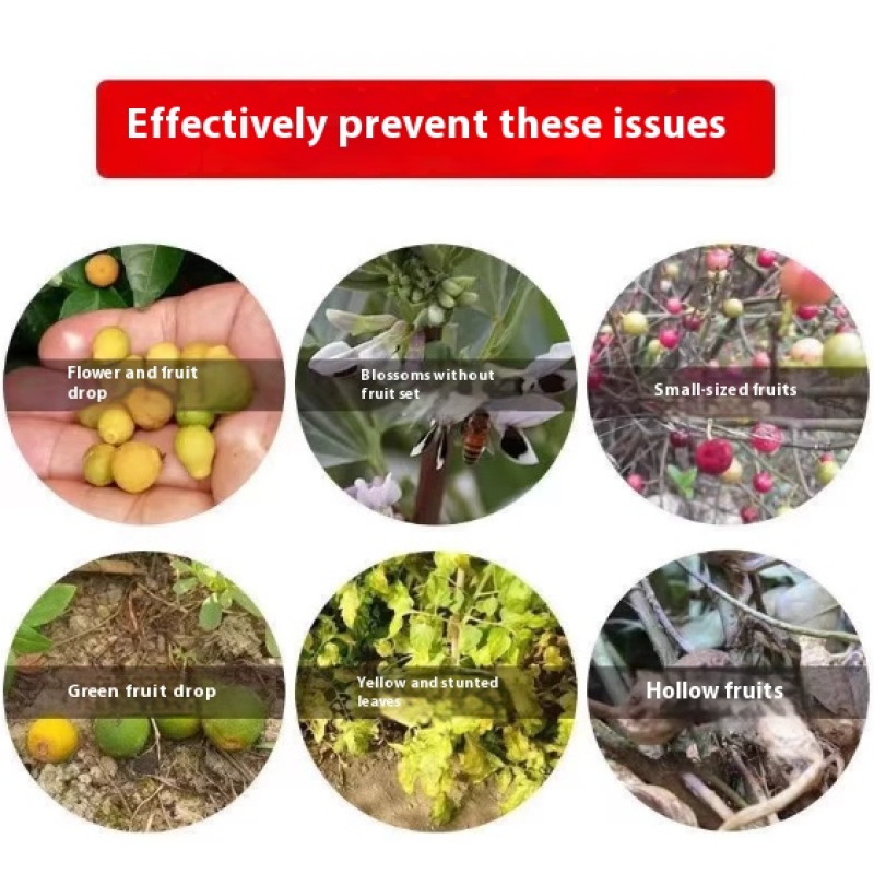 Biostimulant Manufacturer - Amino Acid Fruit Expansion