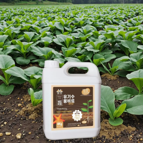 Potassium Fertilizer Manufacturer - Diatom Calcium Root Growth