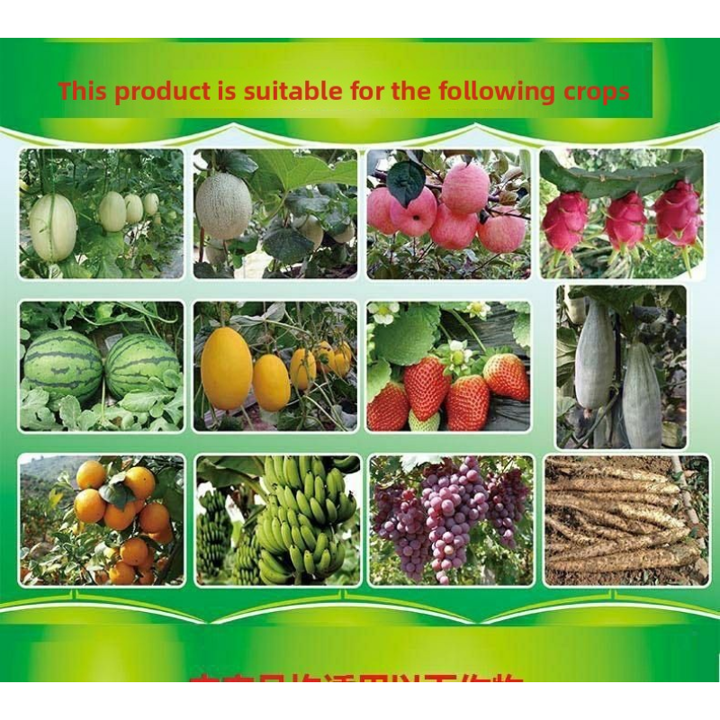 Nitrogen Fertilizer Factory - Liquid 4-in-1 Marine Extract