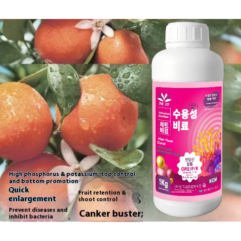 Flower Fertilizer Supplier - Bud Protection Promotion