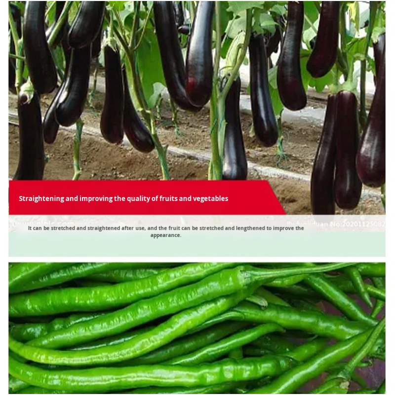 Water-Soluble Fertilizer Manufacturer - Seaweed Slow Release