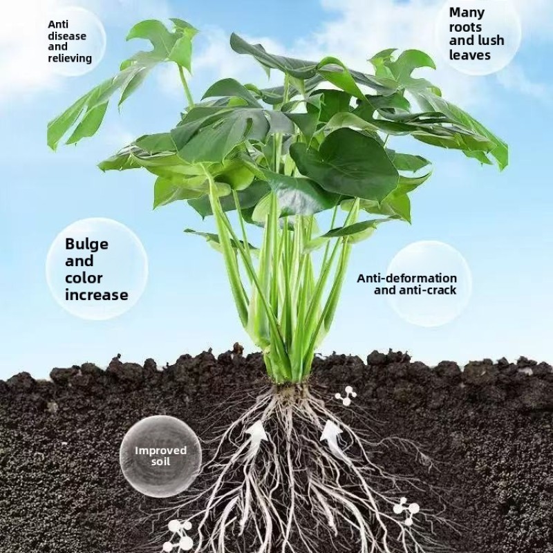 Organic Fertilizer Manufacturer - Pod Yield-Increasing Special