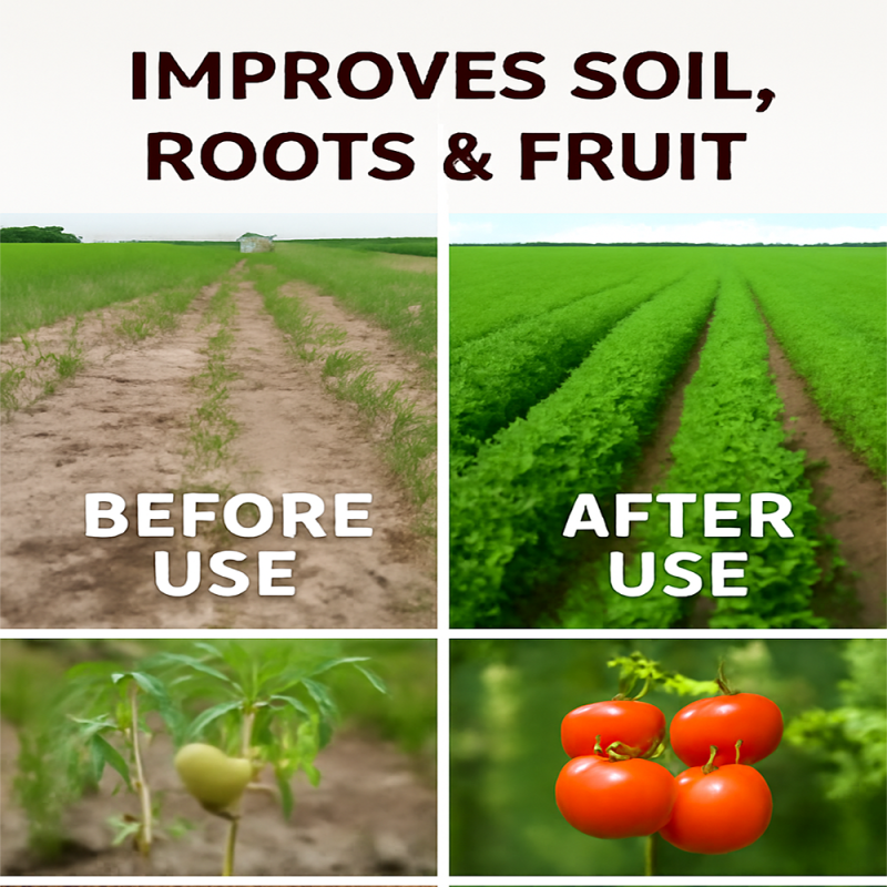 Humic Acid Fertilizer Manufacturer - Nematode Egg Control