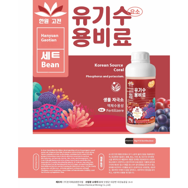 Vegetable Fertilizer Factory - Chili Bean Eggplant Expanding