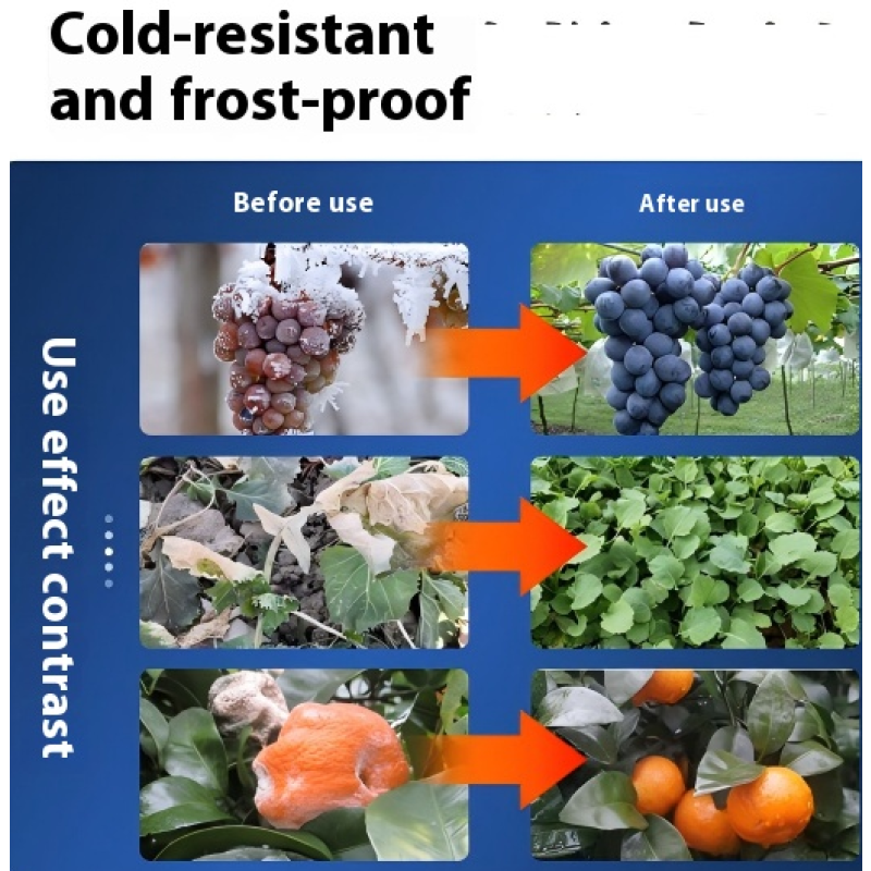 Organic Fertilizer Supplier - High Nitrogen Fruit Trees