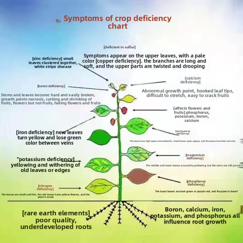 Organic Fertilizer Supplier - Pod Crop Yield-Increasing