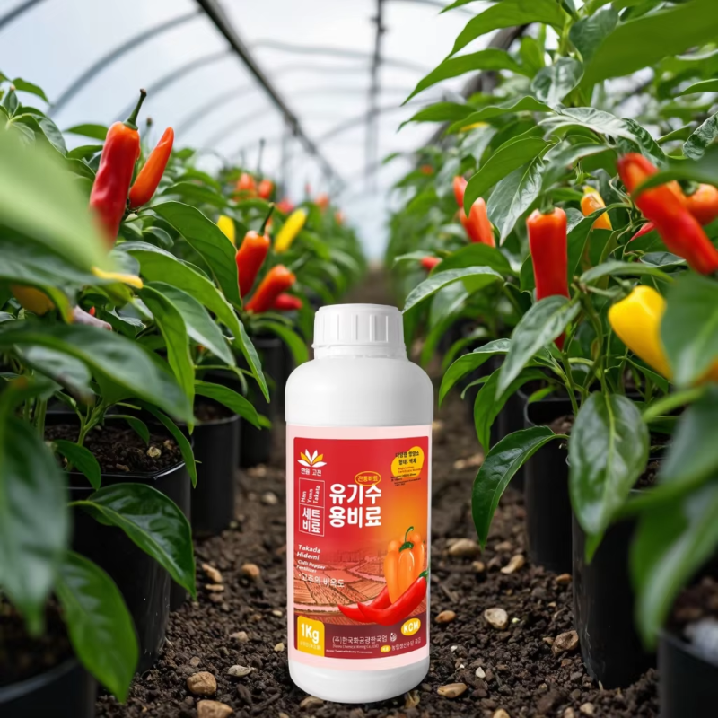 Water-Soluble Fertilizer Factory - Chili Pepper Rooting Yield