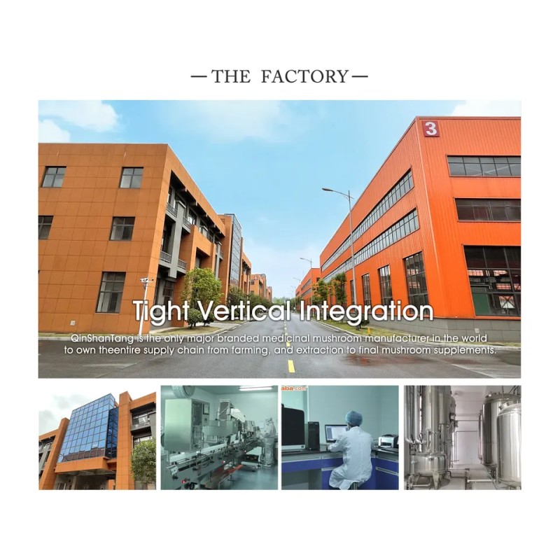 QINSHANTANG Private Label Superfoods Green Organic Vegan Plant Based Pea Isolate Probiotics Protien Supplement Protein Powder