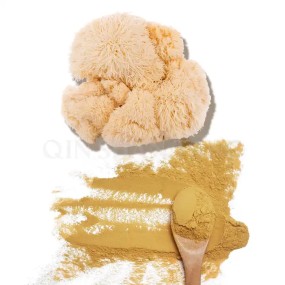 Qinshantang Mushroom and Plant Adaptogen Powder Magic Chaga and Lions Mane Mushroom Powder 500-100 mg