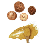Organic Mushroom Ground Powder