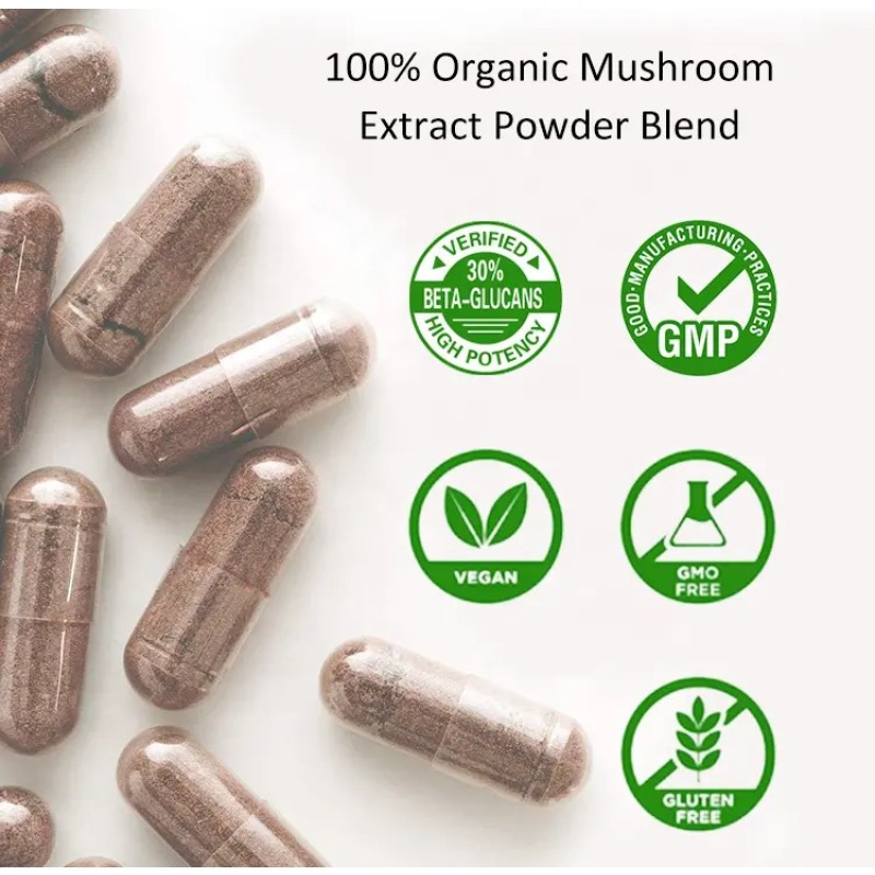 Qinshantang Wholesale Private Label White Labeling 90 Lions Mane Plant Based Capsules Capsules 500mg