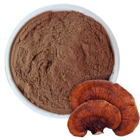 Qinshantang Ganoderma Nutrient Lucidum Powder Organic Low Price Reishi Wild Reishi Mushroom Extract Powder. for Dogs
