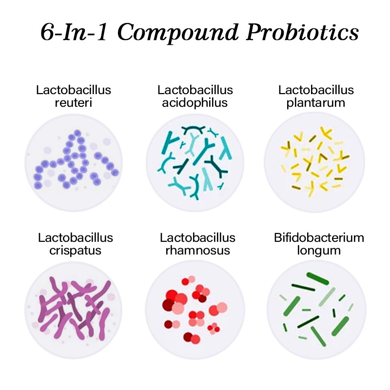 AMULYN OEM Private Label 6 Type Strains Compound Freeze-dried Probiotics Blend Powder