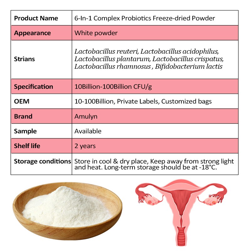 AMULYN OEM Private Label 6 Type Strains Compound Freeze-dried Probiotics Blend Powder