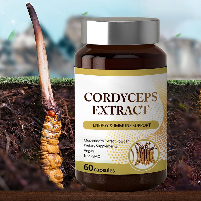 AMULYN Cordyceps Sinensis Mushroom Extract Capsules Dietary Supplement Cordyceps Militaris Capsule Cordyceps Gelules