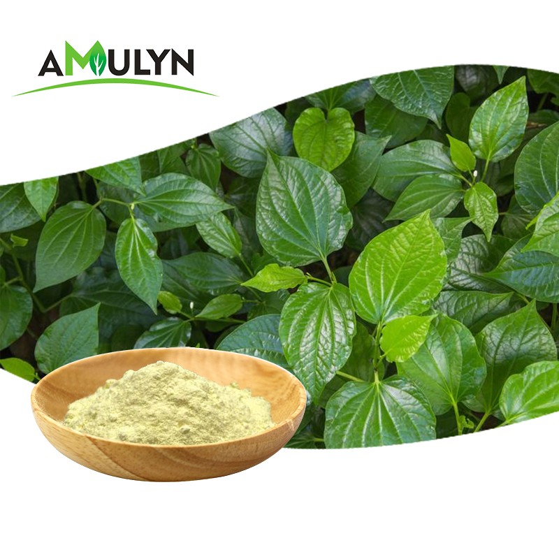 Chinese Factory Kavalactone 30% Pure Kava Extract Powder With High Quality