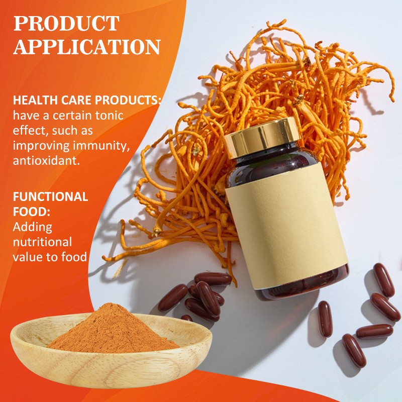 AMULYN Wholesale Cordyceps Polysaccharide Powder Cordyceps Militaris Mushroom Extract