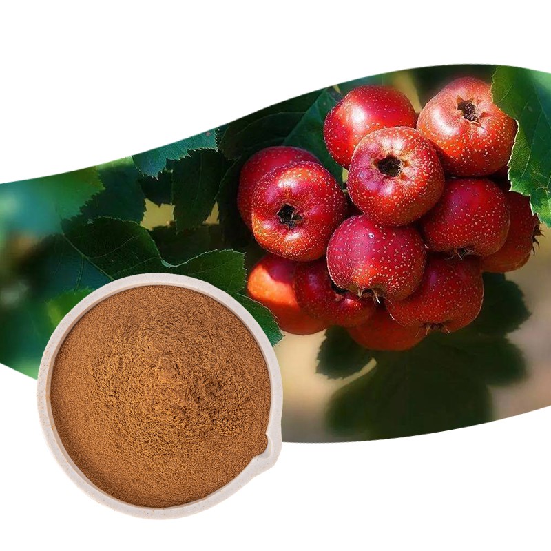 Supply Hawthorn Leaf Extract Powder 10:1 With Top Quality