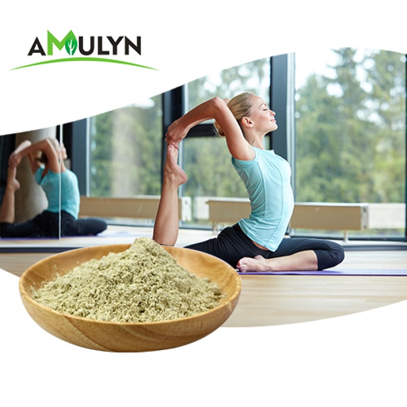 Amulyn Supply  Nongmo Natural Organic Hemp Seed Protein Powders for  Nutritional Supplement
