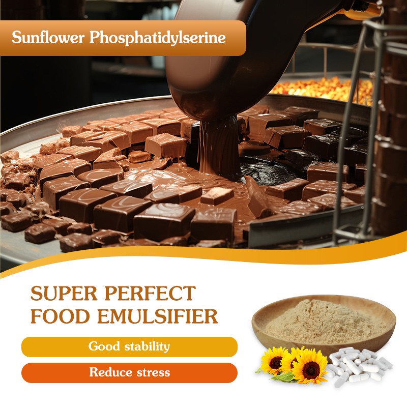 AMULYN Wholesale Phosphatidylserine Lecithin Extract 20% 50% Powder