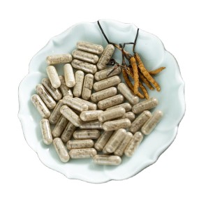 AMULYN Cordyceps Sinensis Mushroom Extract Capsules Dietary Supplement Cordyceps Militaris Capsule Cordyceps Gelules