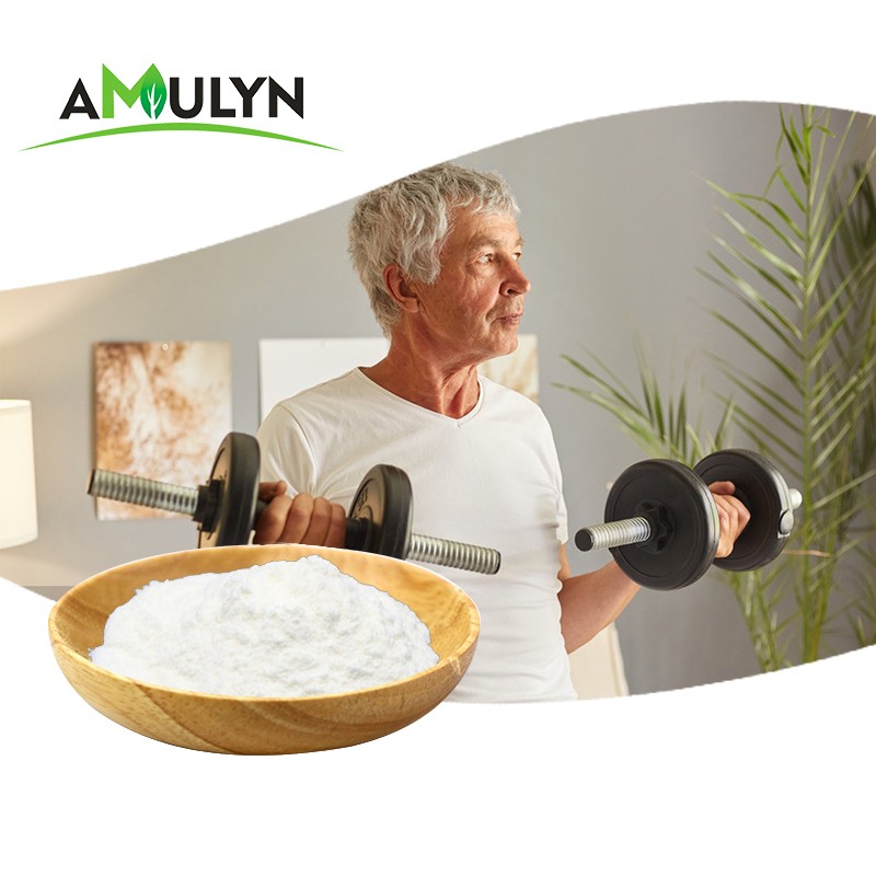 AMULYN Best Quality Chickpea Protein Powder Fitness Chickpea Extract