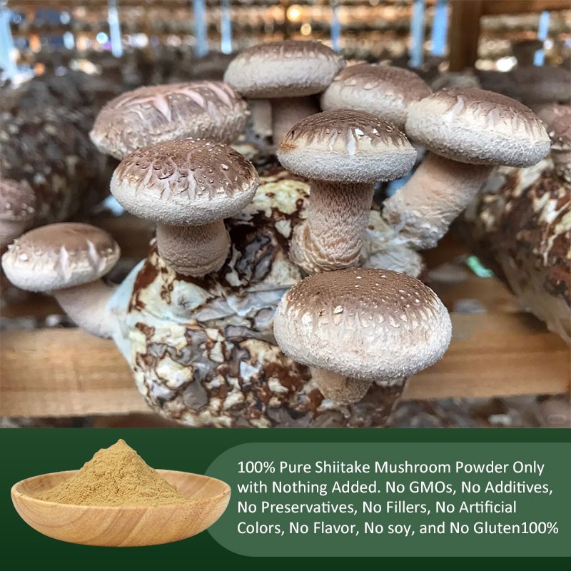 AMULYN Organic Pure Powder  OEM Shiitake Mushroom Extract Powder
