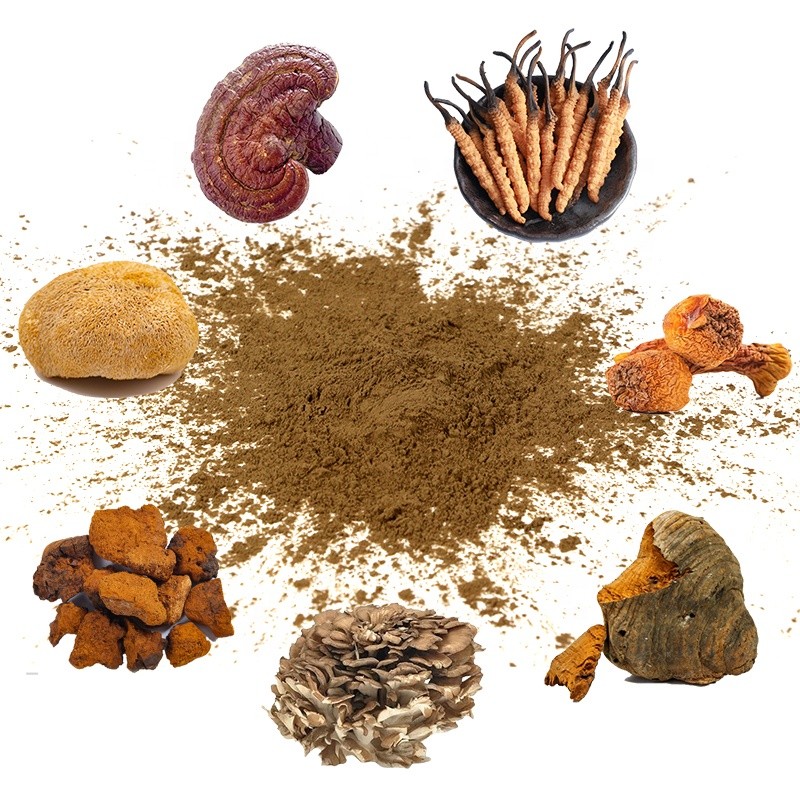 AMULYN OEM Mushroom Coffee Lion's Mane Coffee 6 Mushroom Supplement 7 Mushroom Coffee