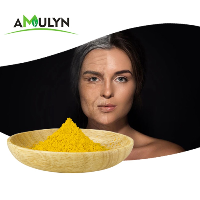 Supply Smoke Tree Extract Fisetin Powder 85% External Standardization