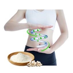 Pure Lactobacillus Plantarum Probiotics Powder