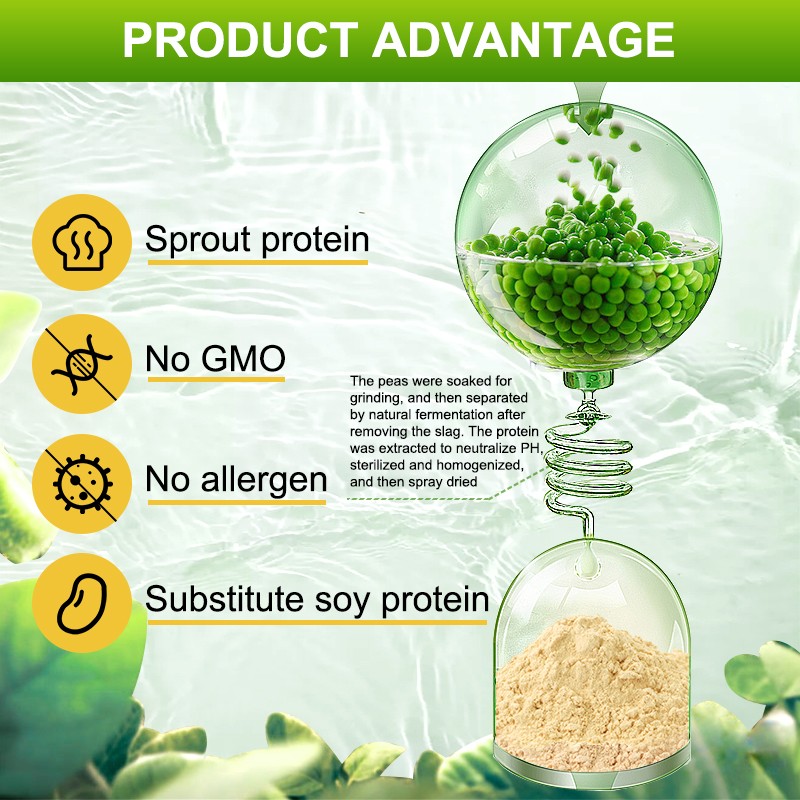 Hydrolyzed Pea Protein Powder Instant Powder 85%