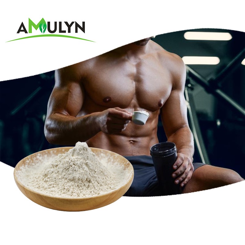 AMULYN Pure Natural Gluten Free Vegan Hydrolyzed Organic Rice Protein Powder