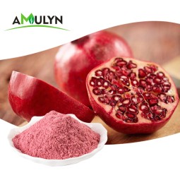 AMULYN Organic Freeze Dried Pomegranate Juice Powder