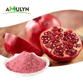 AMULYN Organic Freeze Dried Pomegranate Juice Powder