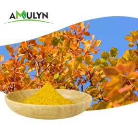 Supply Smoke Tree Extract Fisetin Powder 85% External Standardization