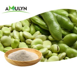 AMULYN Supply Plant-Based Low Allergen Broad Bean Protein Powder Nutrition Enhancer From Manufacturers