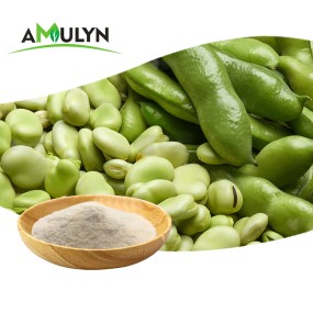 AMULYN Supply Plant-Based Low Allergen Broad Bean Protein Powder Nutrition Enhancer From Manufacturers