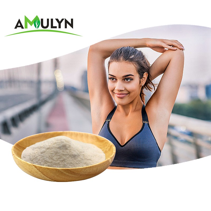 AMULYN Supply Plant-Based Low Allergen Broad Bean Protein Powder Nutrition Enhancer From Manufacturers